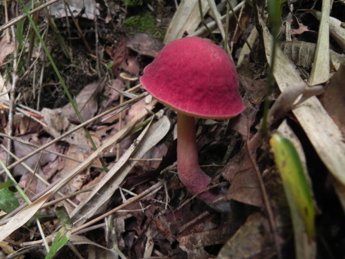 e0352220_23143729.jpg