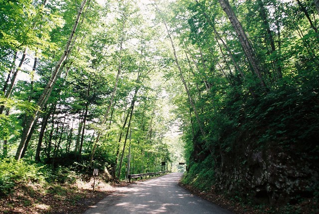 f0362725_13293880.jpg