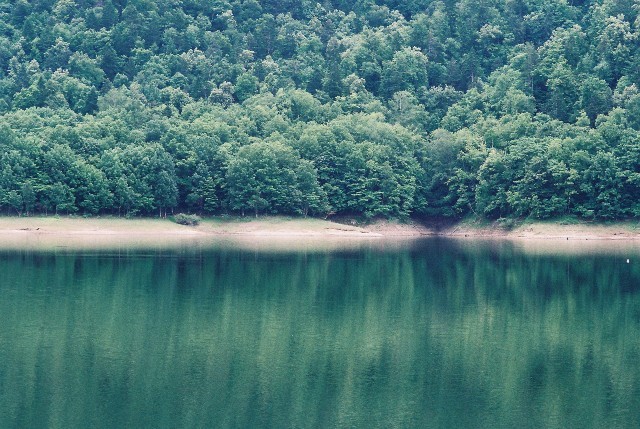 f0362725_14035556.jpg