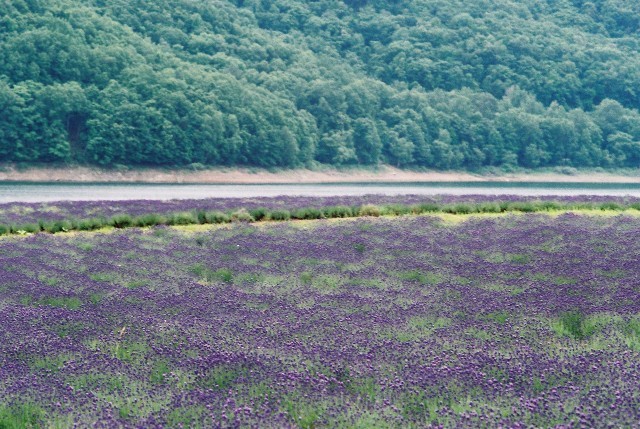 f0362725_14104219.jpg