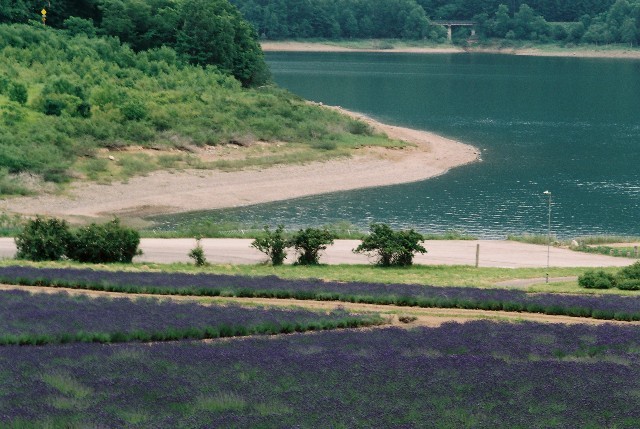 f0362725_14130844.jpg