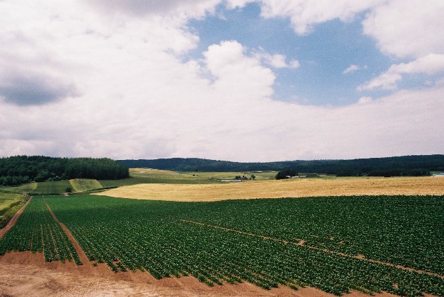 f0362725_14133201.jpg