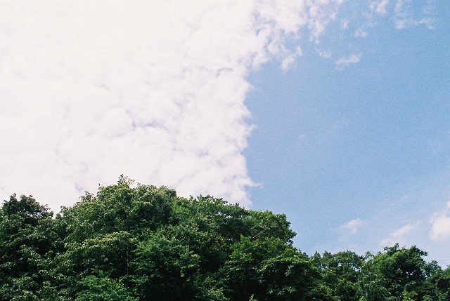f0362725_14145276.jpg