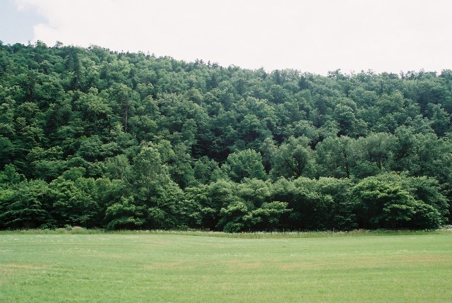 f0362725_14151625.jpg