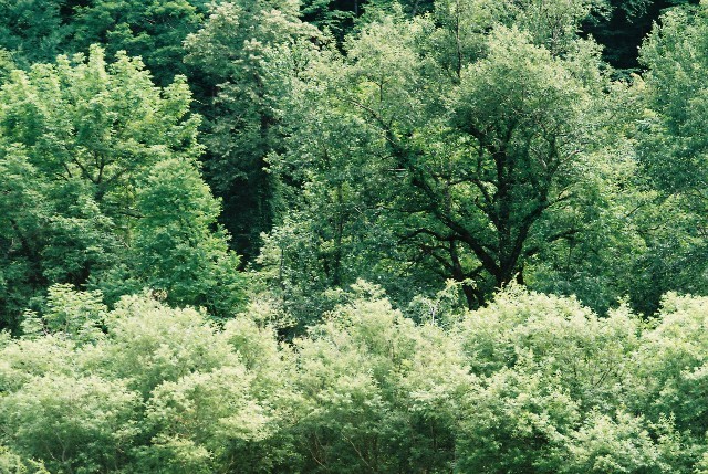 f0362725_14153630.jpg