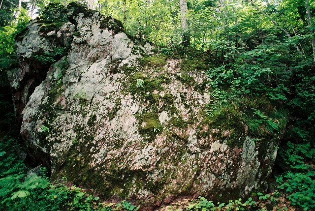 f0362725_15282500.jpg