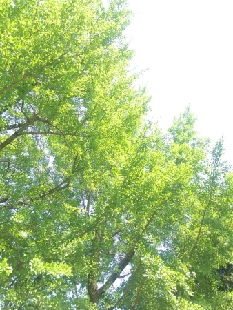 b0080027_23442976.jpg
