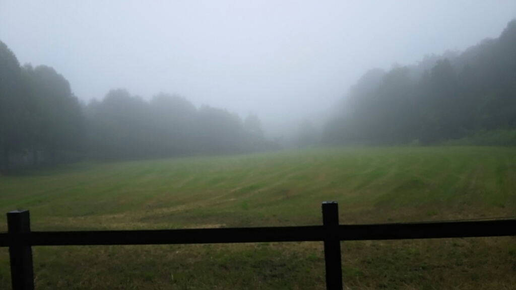 f0114128_09084728.jpg