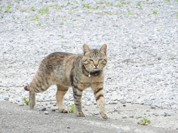 f0118332_11651.jpg