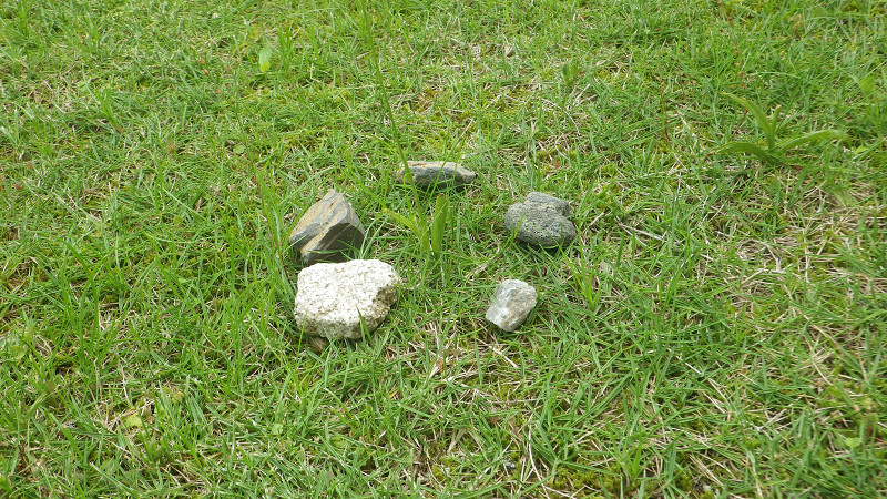 e0305733_7422563.jpg