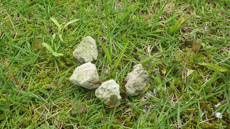 e0305733_7444581.jpg