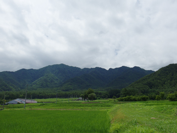 a0014840_881247.jpg