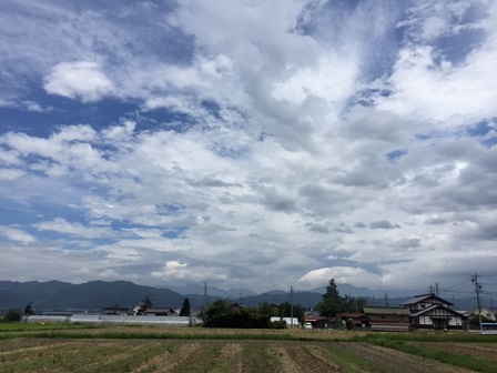 a0272241_1729759.jpg