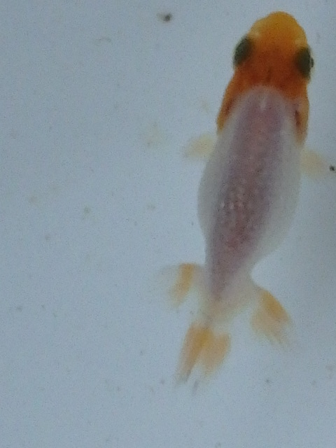 f0334143_18124099.jpg