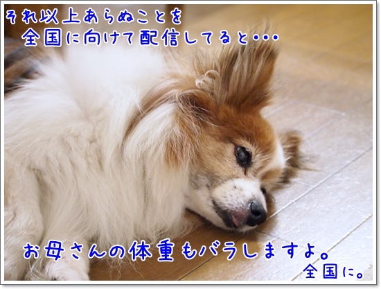 d0013149_00140581.jpg
