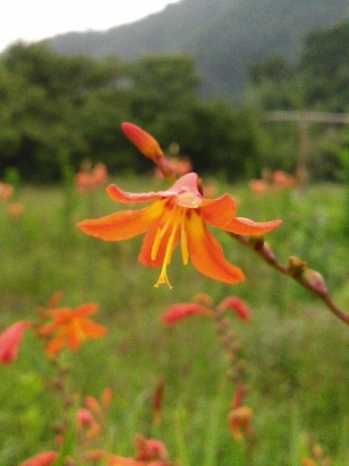 a0018655_13335075.jpg