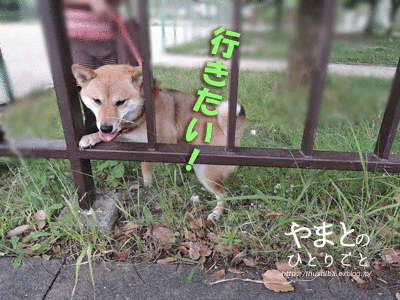 a0286855_655796.gif