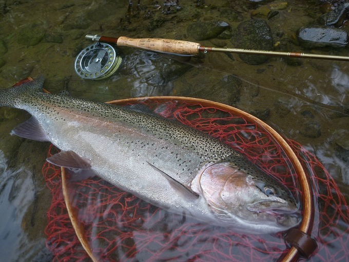 c0351262_16093677.jpg