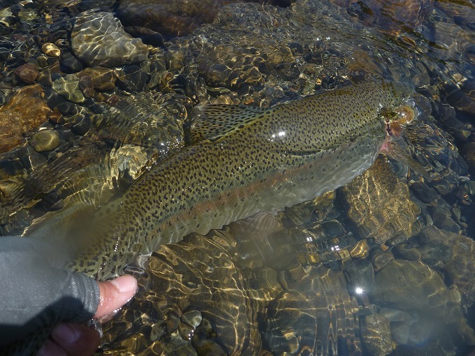 c0351262_16101535.jpg