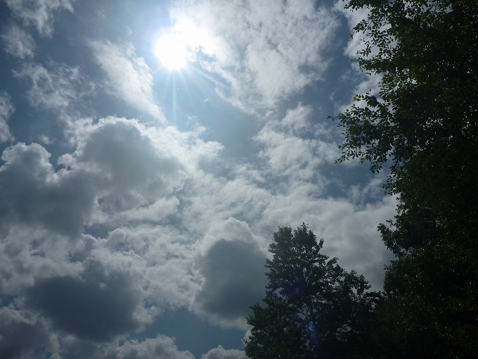 c0351262_16101540.jpg