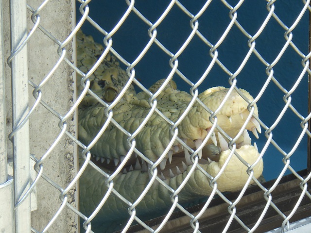 c0105569_1492833.jpg