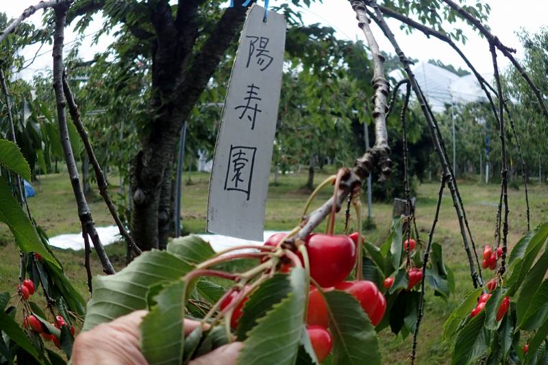 c0183777_714321.jpg