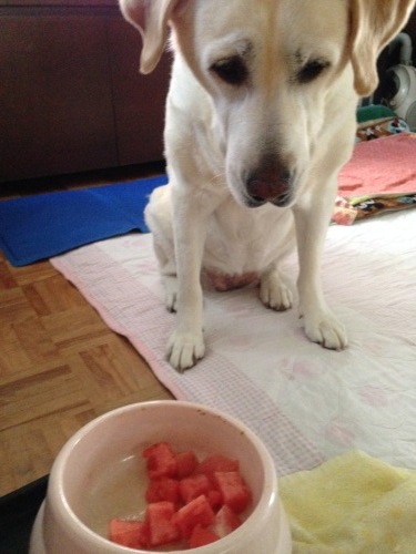 f0315081_13471653.jpeg