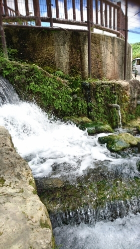 a0256692_22275120.jpg