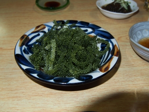 a0256692_22293010.jpg