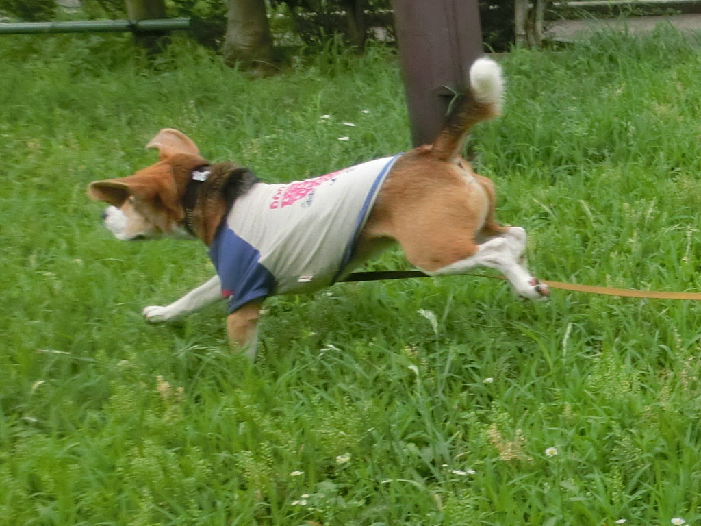 a0319693_75636100.jpg