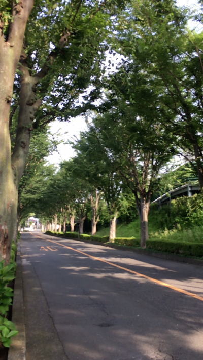 b0160300_2312011.jpg