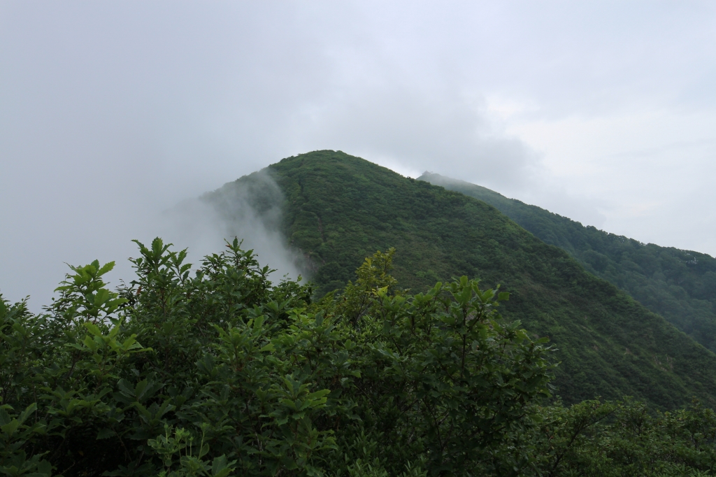 b0050305_1095330.jpg