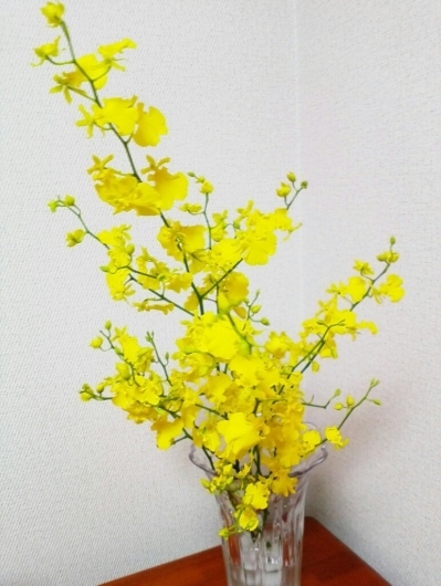 c0278306_17310422.jpg
