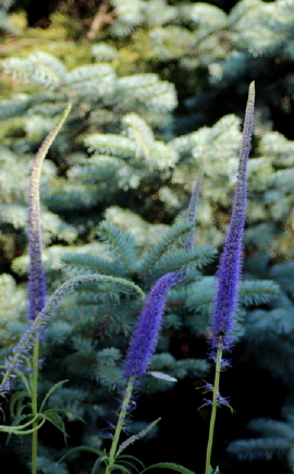 f0041606_13582529.jpg