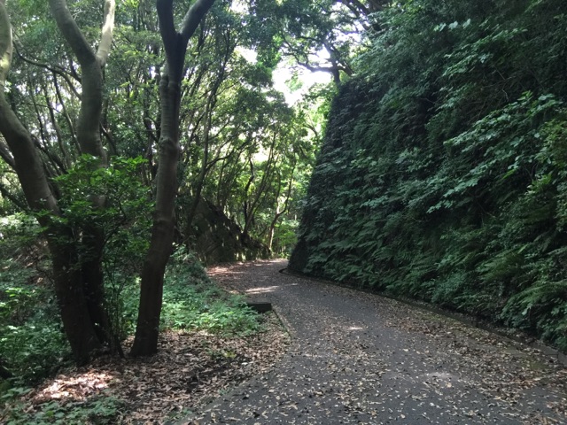 c0113514_1036287.jpg