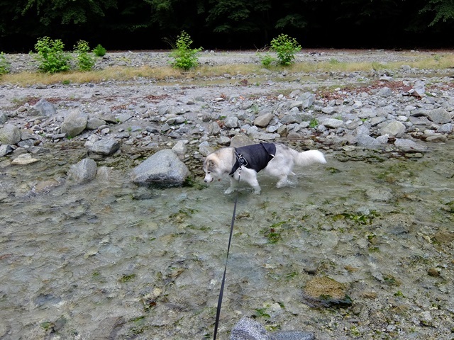 b0207615_15331361.jpg