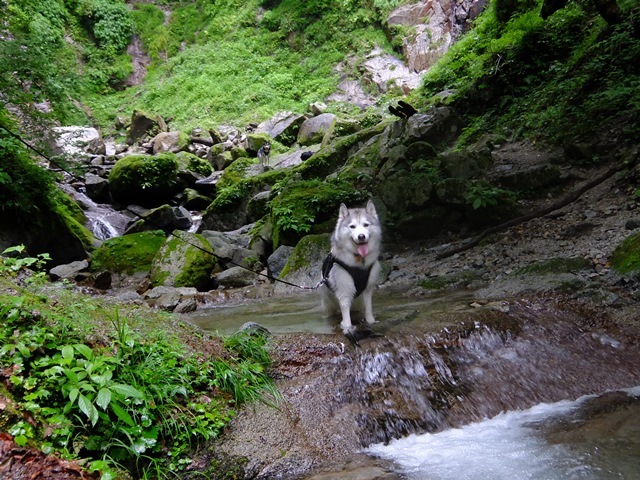 b0207615_15334877.jpg