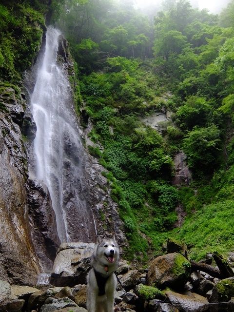 b0207615_15335047.jpg