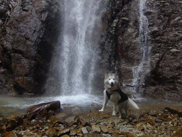 b0207615_15341764.jpg