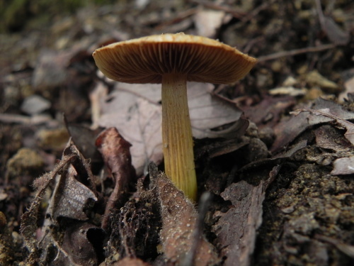 e0352220_07534732.jpg