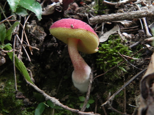 e0352220_08490899.jpg