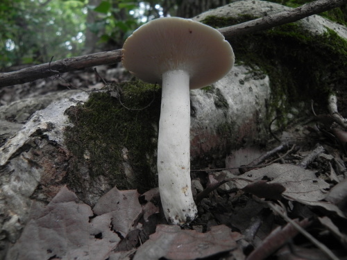 e0352220_09023454.jpg