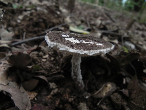 e0352220_09201538.jpg