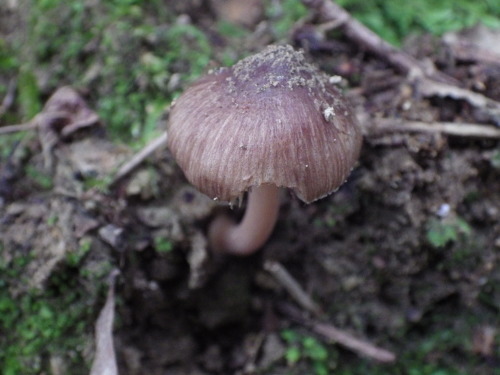 e0352220_09394642.jpg