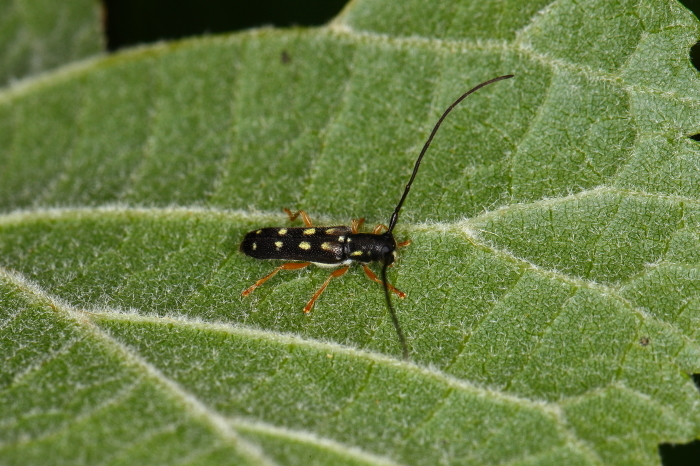 e0337826_23071491.jpg