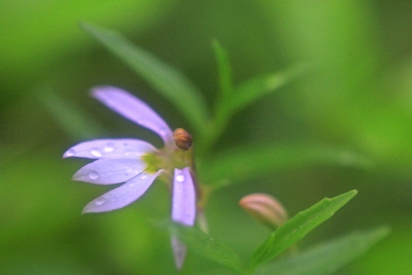 c0104227_2371962.jpg