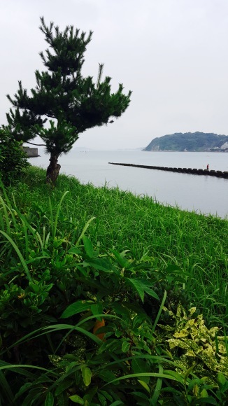 d0269832_13330209.jpeg