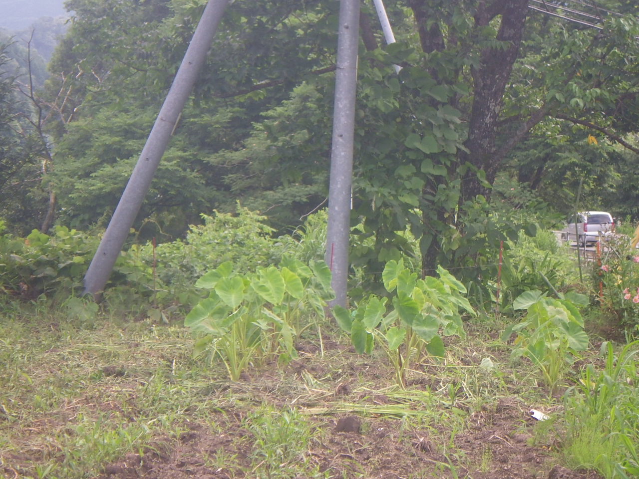c0300035_1019291.jpg