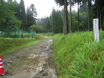 c0077338_112629.jpg