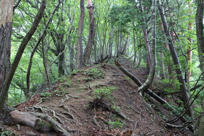c0077338_112752.jpg